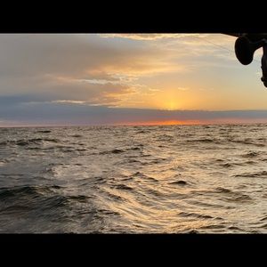 Meet your Posher, Kylie